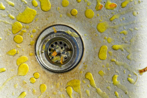 Can-I-Prevent-Sewer-Line-Backups-And-A-Sewer-Repair-Need--_-Coral-Springs,-FL