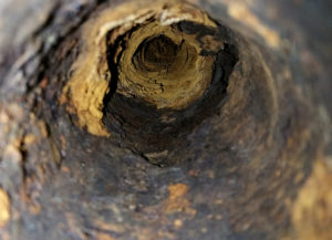 Sewer-Line-Issues-That-Require-Sewer-Repair-_-Coral-Springs,-FL