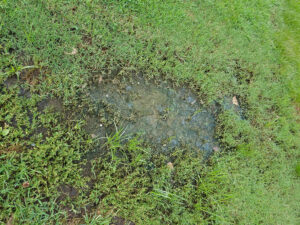 5-Signs-You-May-Need-A-Sewer-Repair-_-Coral-Springs,-FL