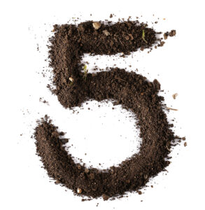 5-Signs-You-Need-Sewer-Repair-_-Coral-Springs,-FL