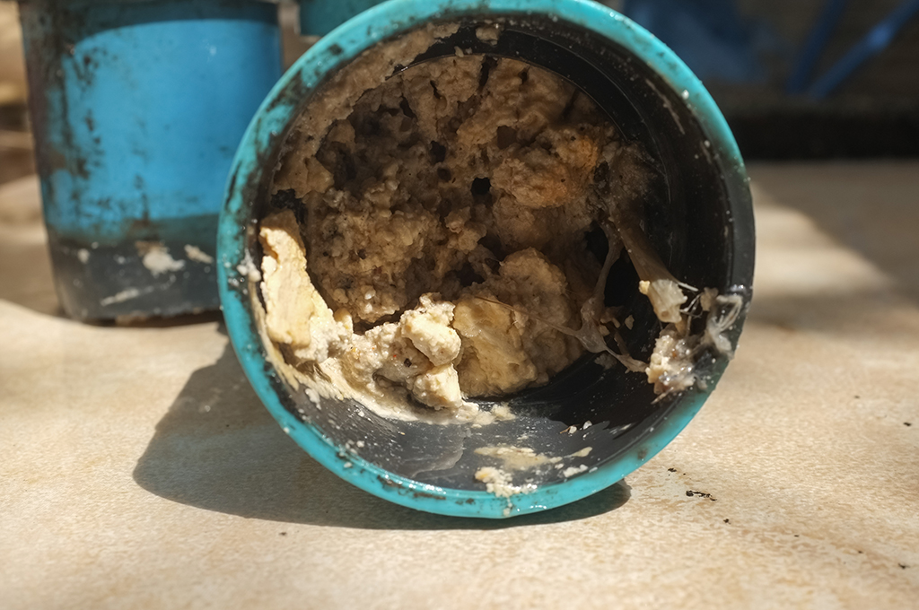 Soft Blockages, Hard Blockages, And Your Plumber | Ft Lauderdale