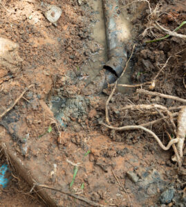 Emergency Sewer Repair: What To Do When Time Is Of The Essence | Ft Lauderdale